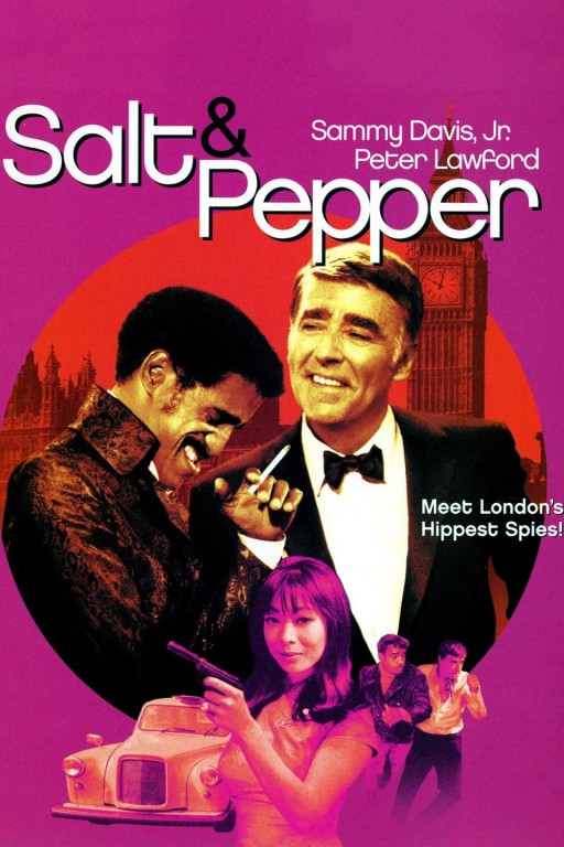 دانلود دوبله فارسی فیلم نمک و فلفل Salt and Pepper 1968