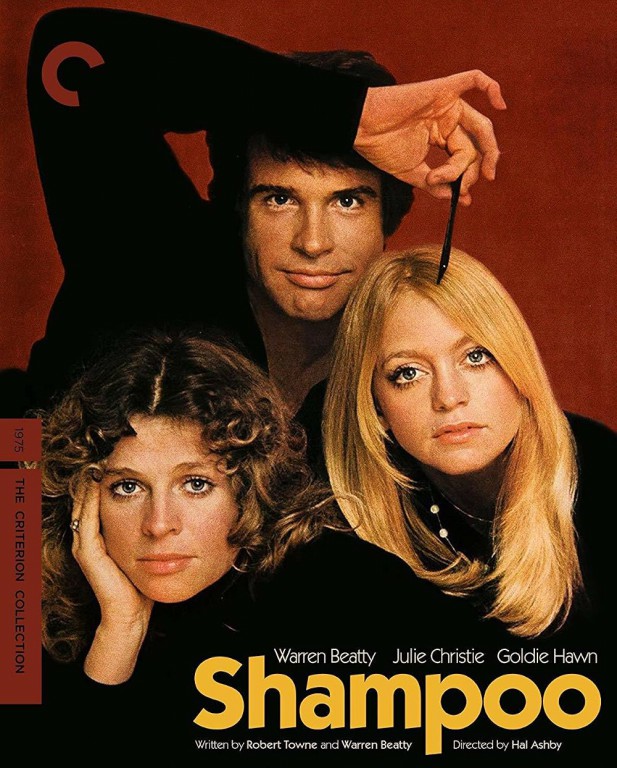 دانلود دوبله فارسی فیلم شامپو Shampoo 1975