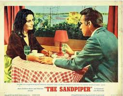دانلود دوبله فارسی فیلم مرغ دریایی The Sandpiper 1965